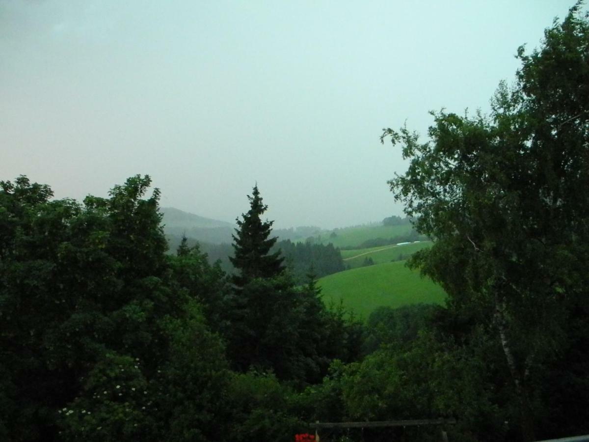 Urlaub Am Bauernhof Grabenhofer Villa Sankt Jakob im Walde Dış mekan fotoğraf