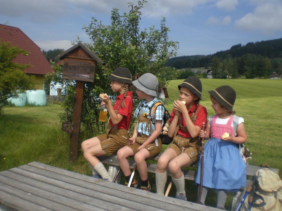 Urlaub Am Bauernhof Grabenhofer Villa Sankt Jakob im Walde Dış mekan fotoğraf