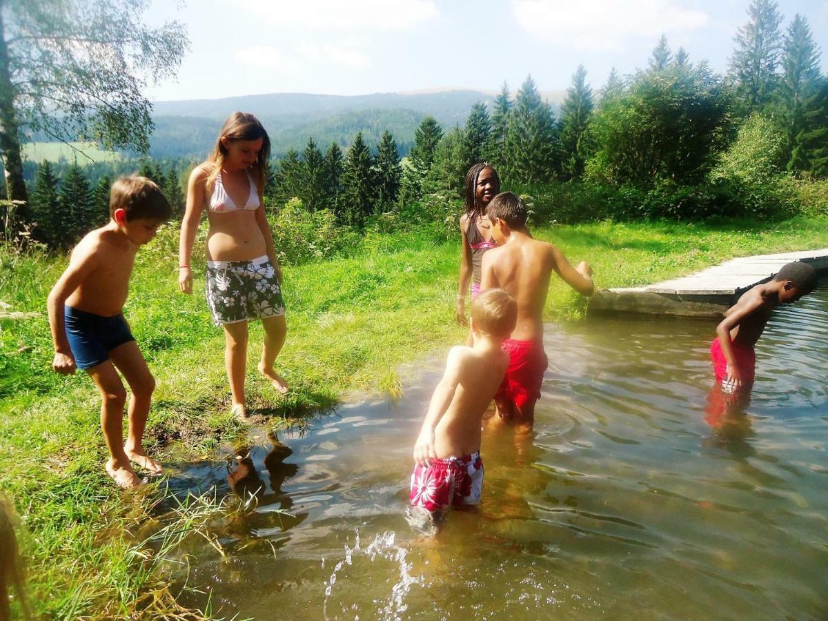 Urlaub Am Bauernhof Grabenhofer Villa Sankt Jakob im Walde Dış mekan fotoğraf