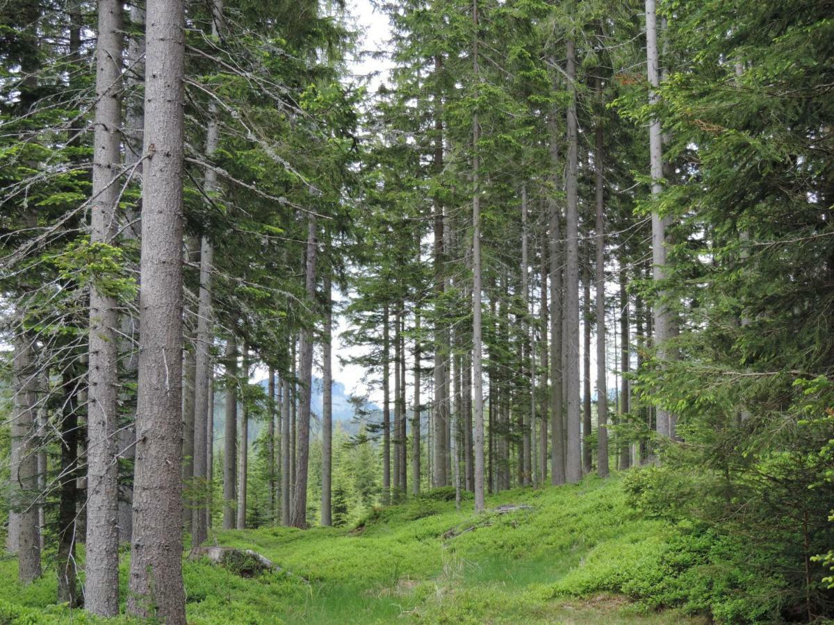 Urlaub Am Bauernhof Grabenhofer Villa Sankt Jakob im Walde Dış mekan fotoğraf