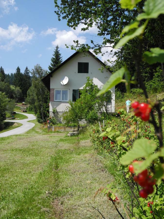 Urlaub Am Bauernhof Grabenhofer Villa Sankt Jakob im Walde Dış mekan fotoğraf