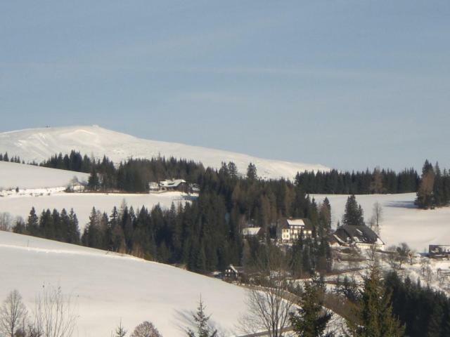 Urlaub Am Bauernhof Grabenhofer Villa Sankt Jakob im Walde Dış mekan fotoğraf